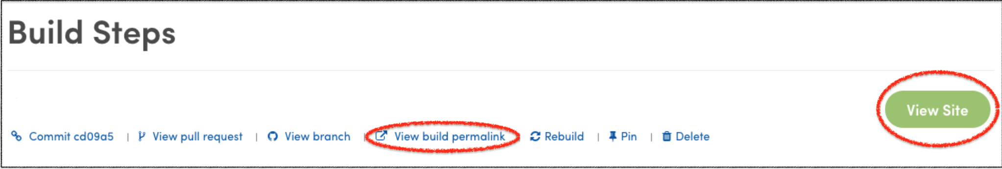 Click view site or view build permalink